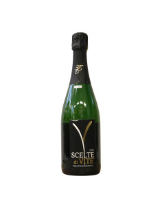 
                                                            Cantina 366 Erbaluce di Caluso Spumante Scelte di Vite 36 mesi 2018 Grandi Bottiglie
                            