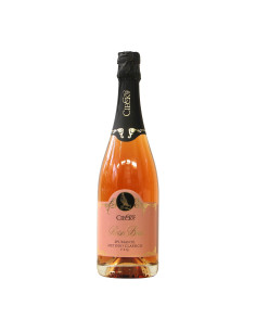 
                                                            Cieck Spumante Rose Brut Grandi Bottiglie
                            