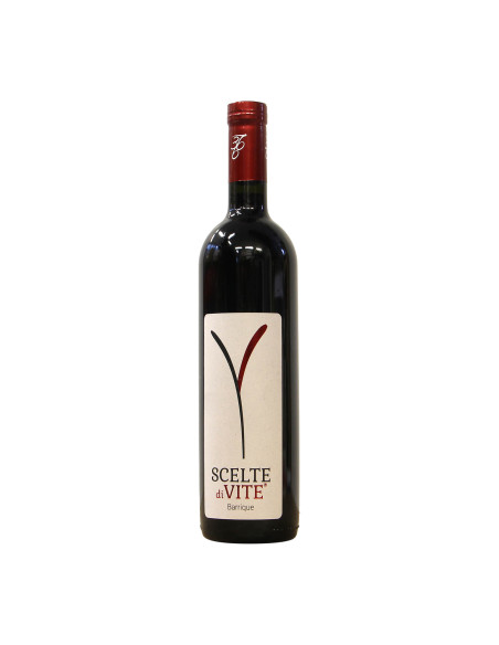 Cantina 366 Canavese Barbera Barrique 2021 Grandi Bottiglie