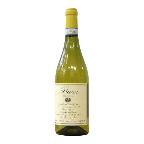Bucci Verdicchio dei Castelli di Jesi 2021 Grandi Bottiglie
