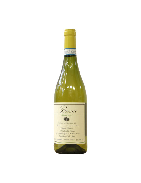 Bucci Verdicchio dei Castelli di Jesi 2021 Grandi Bottiglie