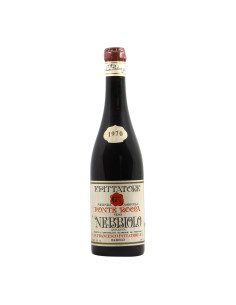 
                                                            Pittatore NEbbiolo 1970
                            