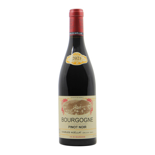 Charles Noellat Bourgogne Pinot Noir 2021 Grandi Bottiglie