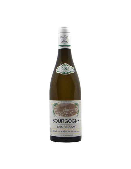Charles Noellat Bourgogne Chardonnay 2023 Grandi Bottiglie