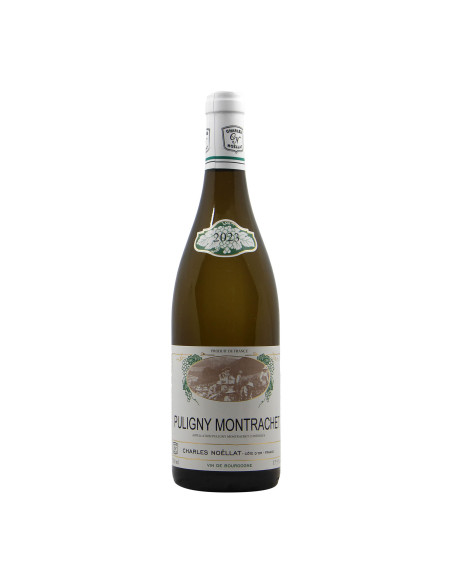 Charles Noellat Puligny Montrachet 2023 Grandi Bottiglie