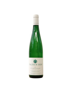 Pacherhof Muller Thurgau 2019 Grandi Bottiglie