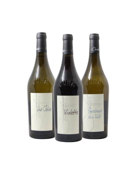 PACK DOMAINE COURBET