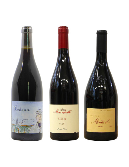Cofanetto Pinot Nero | Borgogna, Italia a confronto