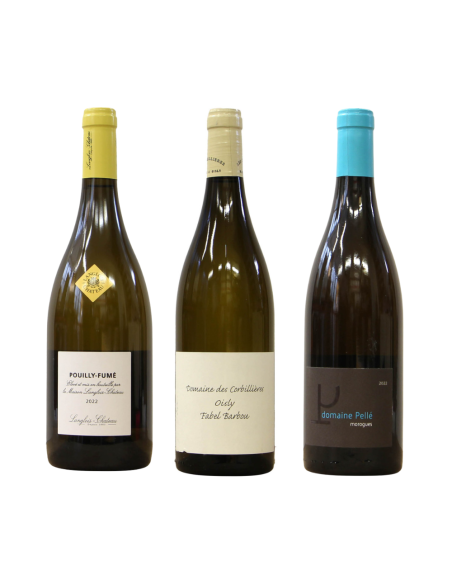 Cofanetto Sauvignon / Territori di Loira a confronto