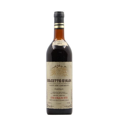 DOLCETTO D'ALBA 1977