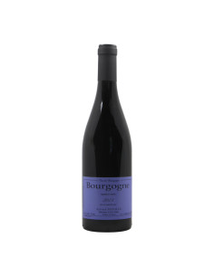 
                                                            Bourgogne Rouge 2023 Sylvain Pataille
                            