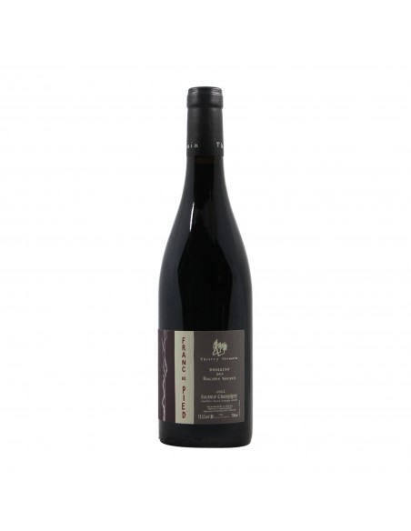 Thierry Germain Saumur Champigny 2022 Grandi Bottiglie