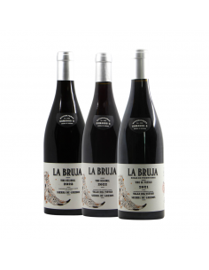 VERTICALE 2021, 2022, 2023, LA BRUJA DE ROZAS COMANDO G