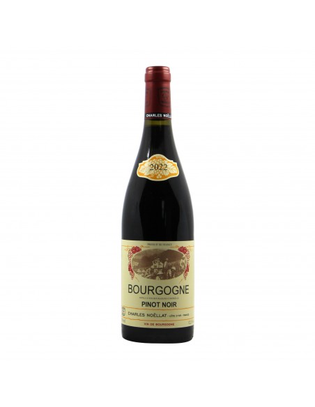 Charles Noellat Bourgogne 2022 Grandi Bottiglie