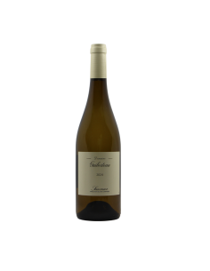 Domaine Guiberteau Saumur Blanc 2024