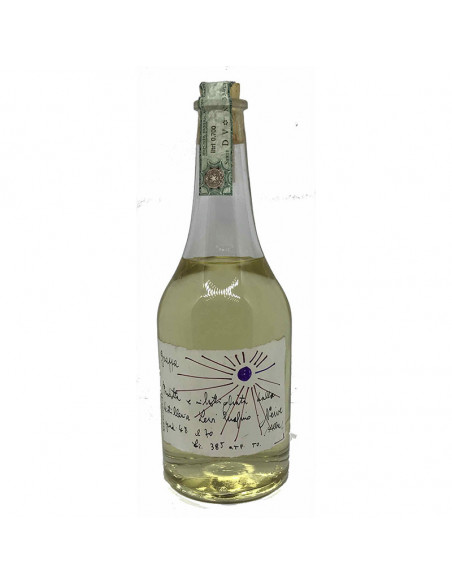 GRAPPA (1997)