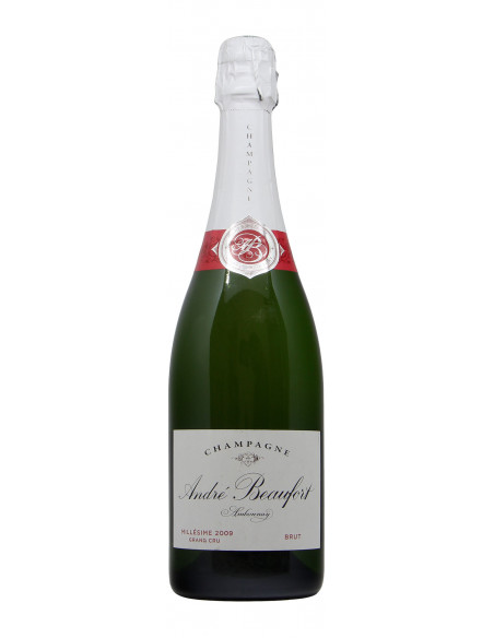 CHAMPAGNE GRAND CRU CUVEE MILLESIME (2009)