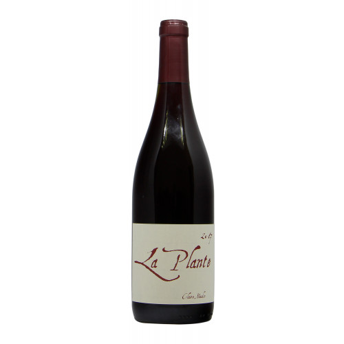 BOURGOGNE PINOT NOIR