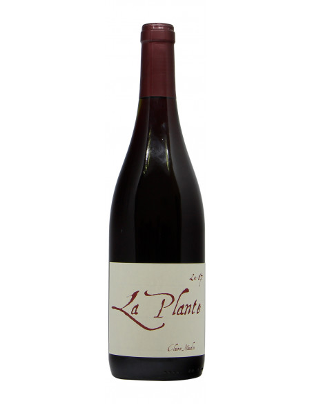 BOURGOGNE PINOT NOIR