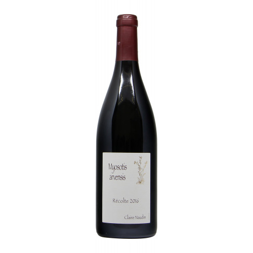 BOURGOGNE HAUTES COTES DE NUITS MYOSOTIS ARVENSIS (2016)