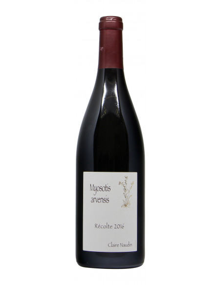 BOURGOGNE HAUTES COTES DE NUITS MYOSOTIS ARVENSIS (2016)