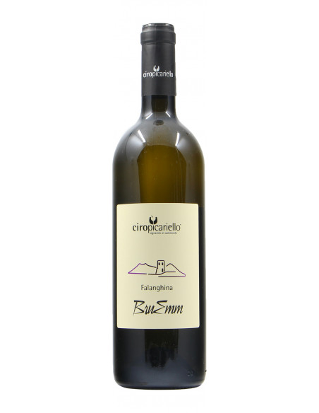 FALANGHINA