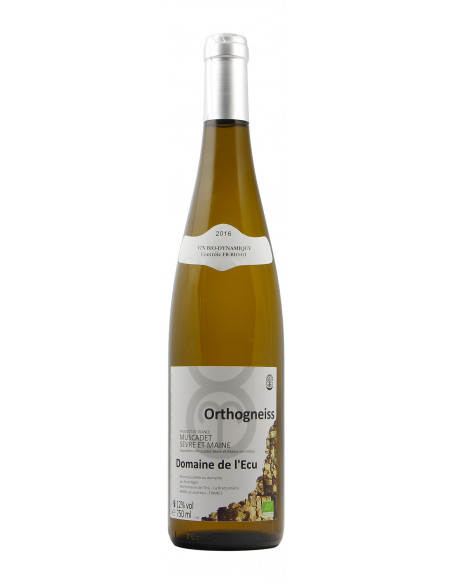 MUSCADET EXPRESSION ORTHOGNEISS