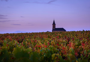 Burgundy Village Wines