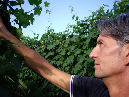 Azelia vini pregiati piemontesi grandi bottiglie