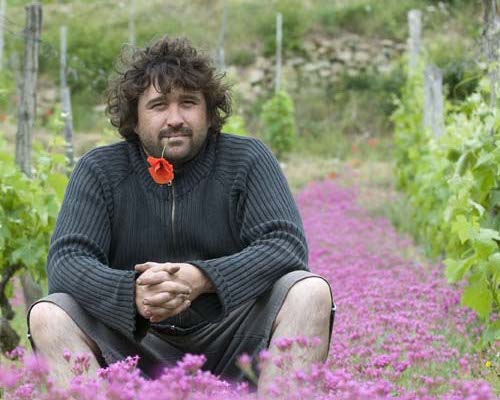 Domaine du Coulet Grandi Bottiglie