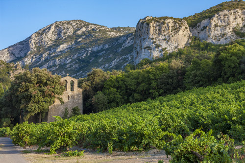 Domaine de L'Horizon Vini del Languedoc Rousillon Grandi Bottiglie