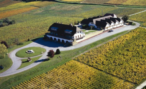 Domaine_de_la_Pinte Grandi Bottiglie.jpg