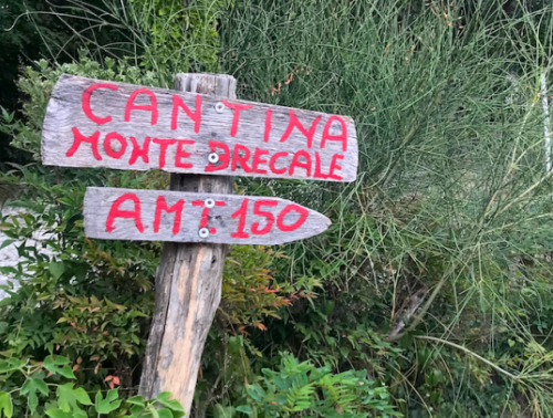 Monte Brecale Grandi Bottiglie
