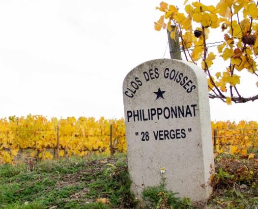 Philipponnat Grandi Bottiglie