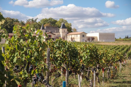 chateau-de-chambrun grandi bottiglie