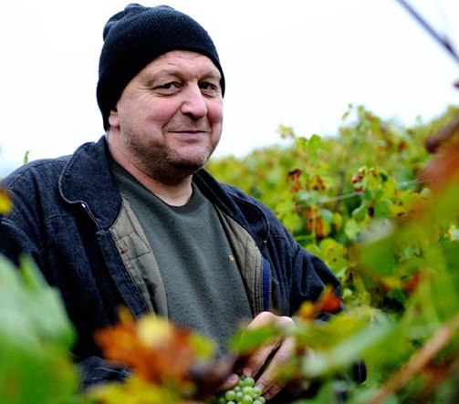 domaine des terres dorees grandi bottiglie