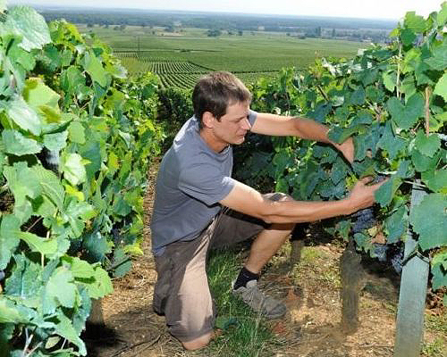 domaine-georges-lignier-2-700x500.jpeg