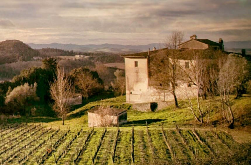 tenua ghizzano grandi bottiglie