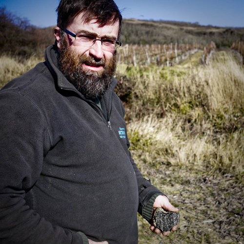 Yvan Bernard Vini naturali della Valle della Loira Grandi Bottiglie