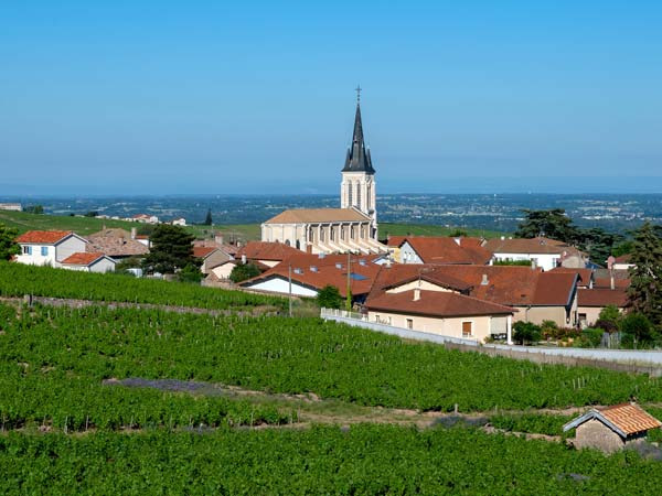 Fleurie, vini e terroir: l'essenza del Beaujolais