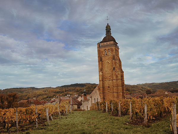 AOC Arbois: Una Storia Jurassica - Grandi Bottiglie - Grandi Bottiglie