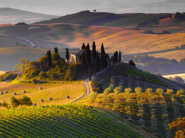 Viaggio tra i vini rossi toscani più famosi