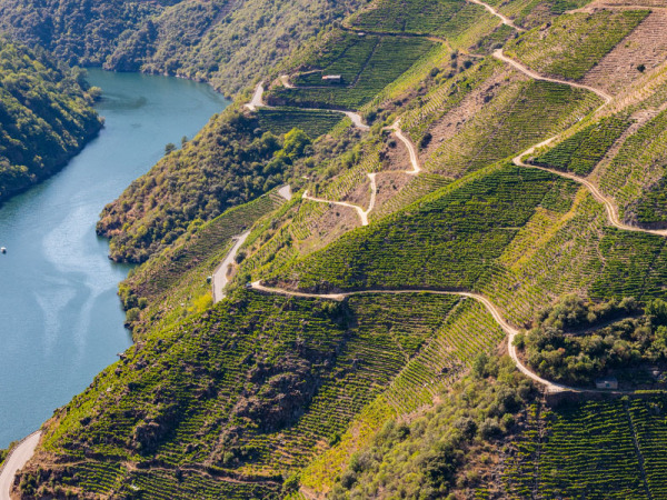 I vini spagnoli della Galizia