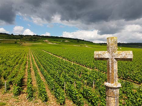 La Classificazione dei vini di Borgogna