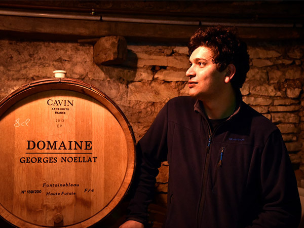 Il Domaine Georges Noellat e la Borgogna del futuro 